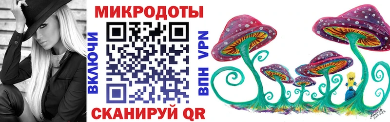 Купить  Выборг  Галлюциногенные грибы Psilocybe 
